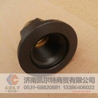 发动机总成 斯太尔前轮螺母M22*1.5-27