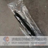 承接外贸订单采购VG2600080276重汽喷油器