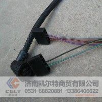 外贸AZ9725770065右组合后灯线束