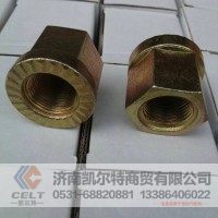 陕汽重汽豪沃配件 24骑马螺丝螺母