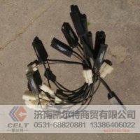 陕汽重汽WG1630820313/1温度传感器