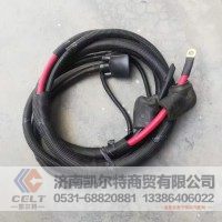 重汽豪沃 AZ9721778214 起动机电线束