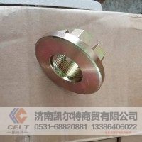 33*1.5 斯太尔STR角齿螺母 9000320013