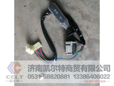 DZ9100580076,组合开关(转向柱上),济南凯尔特商贸有限公司