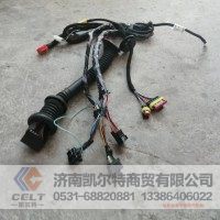 重汽全车 挂车件AZ9918770061左车门线束