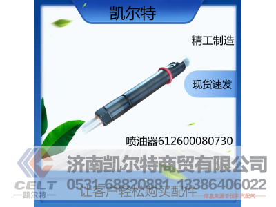 612600080730,喷油器总成,济南凯尔特商贸有限公司