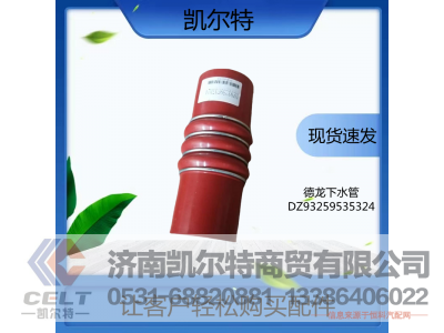DZ93259535324,内氟外硅胶管,济南凯尔特商贸有限公司