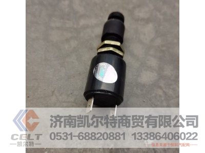 WG9100071000,停车灯开关,济南凯尔特商贸有限公司