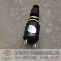 停车灯开关WG9100071000 重卡豪沃