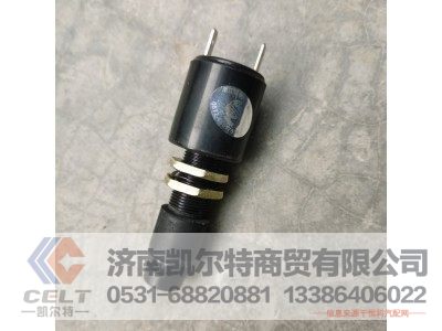 WG9100071000,停车灯开关,济南凯尔特商贸有限公司