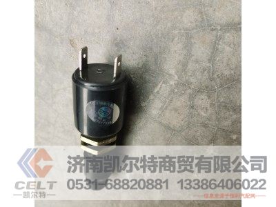 WG9100071000,停车灯开关,济南凯尔特商贸有限公司