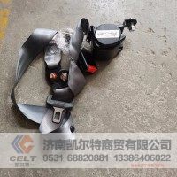 AZ1642560010中长驾驶室安全带 陕汽德龙