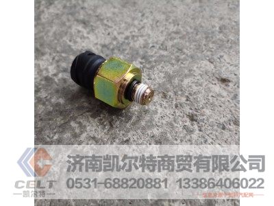 DZ97189711201,电子式气压传感器,济南凯尔特商贸有限公司