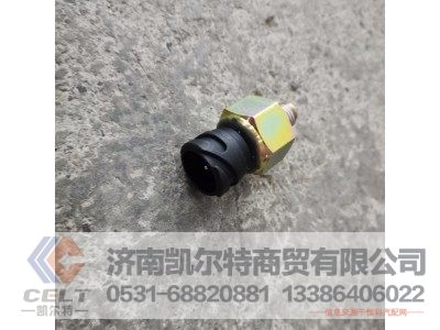 DZ97189711201,电子式气压传感器,济南凯尔特商贸有限公司