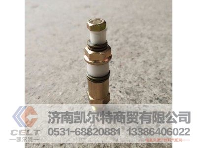 VG1540080213,柴滤溢油阀（高压泵）,济南凯尔特商贸有限公司