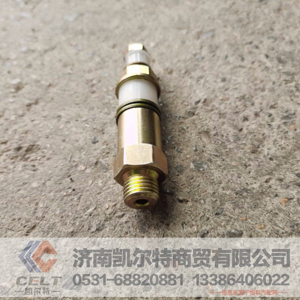 VG1540080213,柴滤溢油阀（高压泵）,济南凯尔特商贸有限公司