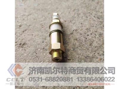 VG1540080213,柴滤溢油阀（高压泵）,济南凯尔特商贸有限公司