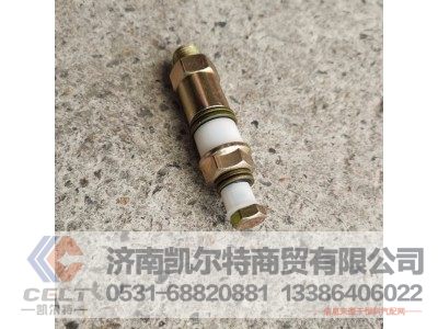VG1540080213,柴滤溢油阀（高压泵）,济南凯尔特商贸有限公司