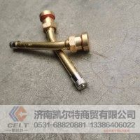 无内胎气门嘴WG9725610020 重汽豪沃 陕汽德龙