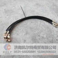 驾驶室举升软管0.6米直弯 jsgdz 重汽豪沃 陕汽德龙