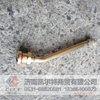 大车气门嘴20-6（铜）  重汽 HOWO 斯太尔