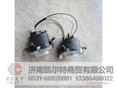 DZ93189723013/23,F3000雾灯,济南凯尔特商贸有限公司