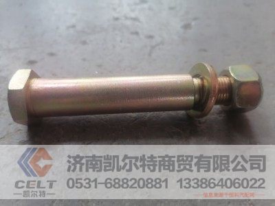 S-1780 680029/A,后稳定杆螺丝,济南凯尔特商贸有限公司