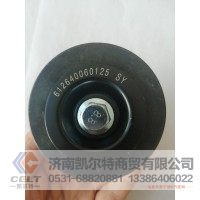 612640060125惰轮重汽陕汽汽车配件现货发货