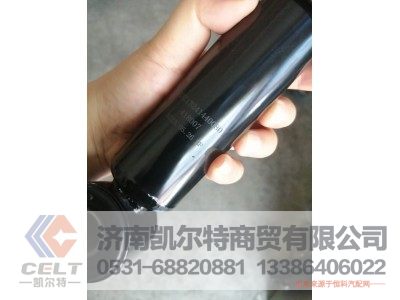 DZ13241440080,横向减震器总成,济南凯尔特商贸有限公司