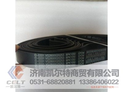 VG2600020253,汽车多楔带（水泵）,济南凯尔特商贸有限公司