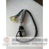 WG9130583017  组合开关  供应重汽豪沃 斯太尔 汕德卡汽车配件