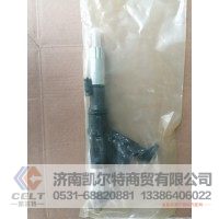 VG12460080051/0950008011 喷油器  供应重汽豪沃 T7H T5G 汕德卡