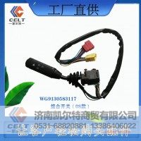 WG9130583117  组合开关（08款）  供应重汽T5G 汕德卡汽车配件