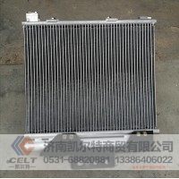 外贸出口  LG1613822103  轻卡冷凝器总成（24V）  供应重汽T5G 汕德卡汽车配件