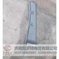 LG1612610019  轻卡A立柱内存（左）  供应重汽T5G 汕德卡汽车配件