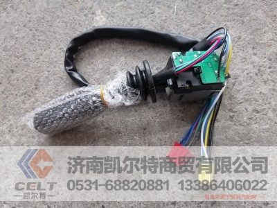 WG9730583117,左组合开关,济南凯尔特商贸有限公司