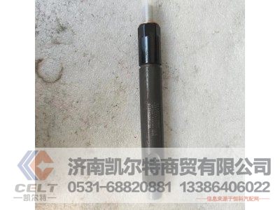 VG1560080276,喷油器,济南凯尔特商贸有限公司