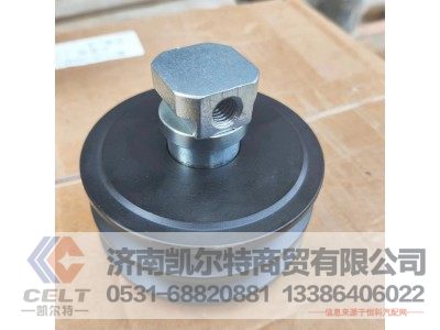 FQ100-1002450,玉柴皮带涨紧轮,济南凯尔特商贸有限公司