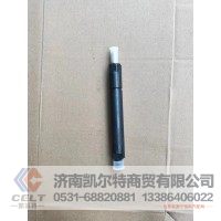 612600080311  潍柴WD618喷油器总成   供应重汽豪沃 斯太尔 汕德卡 采埃孚 zf卡车配件