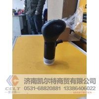 12JS160T-170810  F3000十二档换挡手柄球  供应陕汽德龙 陕汽奥龙 陕汽SHACMAN卡车配件