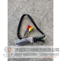 WG9130583117  组合开关（08款）  供应重汽T7H T5G 汕德卡卡车配件