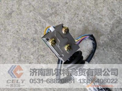 WG9130583117,组合开关（08款）,济南凯尔特商贸有限公司