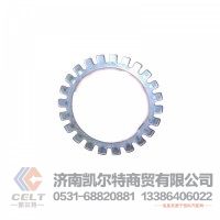 WG9231340016 后轮锁片  供应重汽豪沃 斯太尔 汕德卡 采埃孚 zf卡车配件