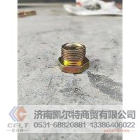 WG9000361028 过度螺母 外22*内16丝 高1.5 供应重汽T7H T5G 汕德卡卡车配件