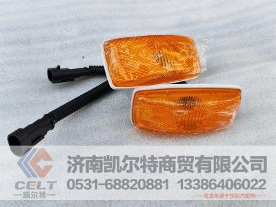 WG9925720012,翼子板转向灯,济南凯尔特商贸有限公司