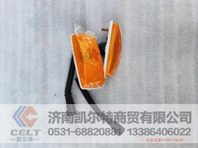 WG9925720012,翼子板转向灯,济南凯尔特商贸有限公司