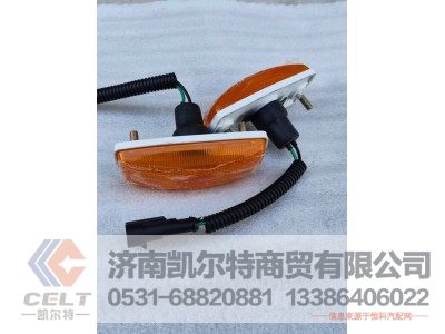 WG9925720012,翼子板转向灯,济南凯尔特商贸有限公司