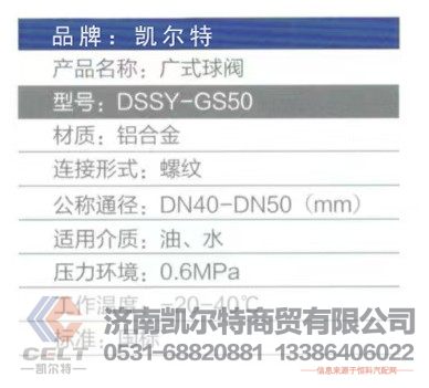 DSSY-GS50,广式球阀,济南凯尔特商贸有限公司