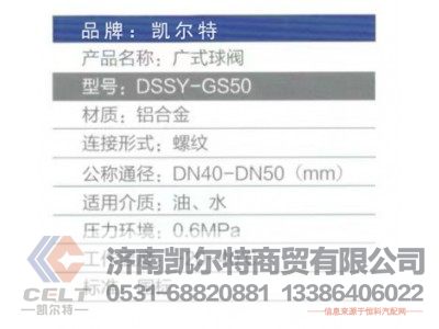 DSSY-GS50,广式球阀,济南凯尔特商贸有限公司