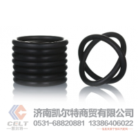 W3104012P01C,O型圈,济南凯尔特商贸有限公司